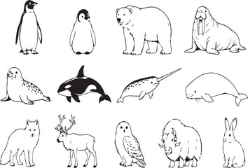 Collection of Arctic and Antarctic Wildlife Vector Illustrations Featuring Polar Bear Penguin Walrus Seal Orca Narwhal Beluga Whale Fox Reindeer Owl Muskox and Hare for Nature Projects. © Sadek