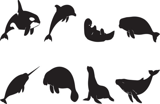 Collection of Black Marine Mammal Silhouettes Featuring Orca Killer Whale, Dolphin, Sea Otter, Dugong, Narwhal, Manatee, Sea Lion, and Humpback Whale for Nautical Designs and Sea Life Art.