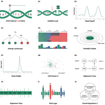 Genomics Molecular Biology Vector CRISPR Protein Folding Cell Clustering
