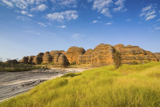 Bungle Bungles, beehive-shaped sandstone towers, Purnululu National Park, UNESCO World Heritage Site, Eastern Kimberleys, Western Australia
