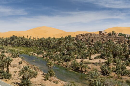 Overlook over the oasis of Taghit with sand dunes, western Algeria, Algeria