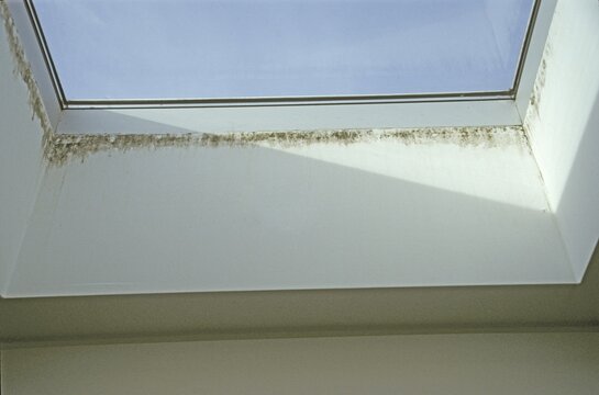 Roof window with mould spots