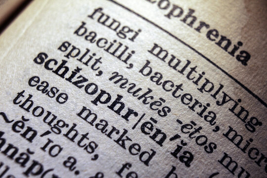 Word schizophrenia on dictionary page, macro close up