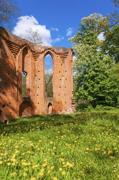 Monastery ruins of Boitzenburg, Boitzenburger Land, Uckermark, Brandenburg, Germany