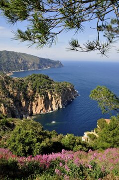 Wild coastal scenery with views of the Cap de Begur, near Begur, Costa Brava, Spain, Iberian Peninsula, Europe