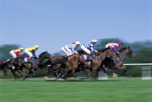 Horse racing