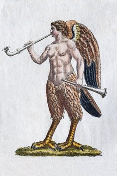 Siren, hand - colored copper engraving from Friedrich Justin Bertuch Picture book for children, Weimar 1792
