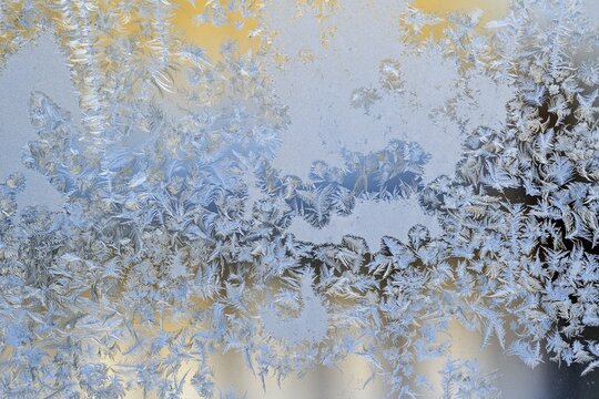 Ice flowers on the window