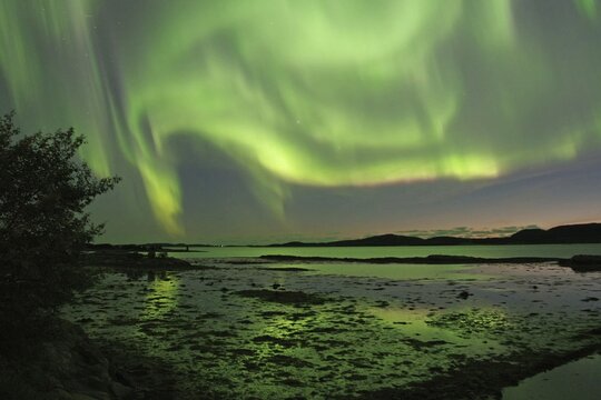 Northern Lights (aurora borealis), fjord at low tide, Offers&ouml;y, FV 17, Kystriksveien, Nordland, Norway