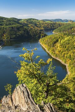 View from the buck rock to the Hohenwarte reservoir in autumn, Saale loop, Upper Saale, Thuringian Slate Mountains/Upper Saale nature park Park, Hohenwarte reservoir, Hohenwarte dam, Hohenwartetalsperre, Thuringia, Germany