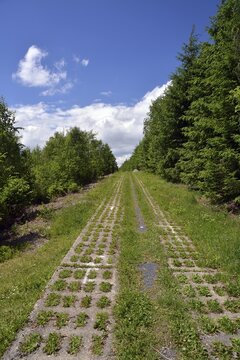 Green Belt, former inner-German border patrol path with the overgrown "death strip", Rennsteig, Lehesten, Thuringia, Germany