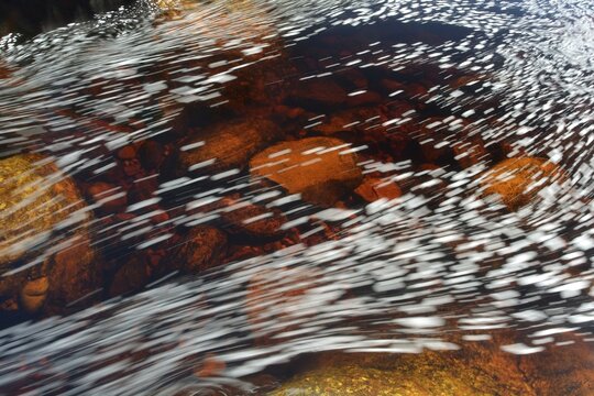 Typical foam structures on the black river water, due to high content of dissolved humic and fulvic acids, Chapada Diamantina, Bahia, Brazil