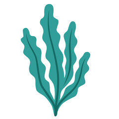 Teal upright branching seaweed plant isolated on white background vector graphic. © Wisnu