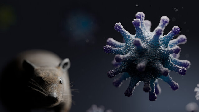 A colony of hantavirus under a microscope. Hantavirus against a background of rats and mice, viral disease, macro photo of the virus, microscopic 3D rendering of the virus.
