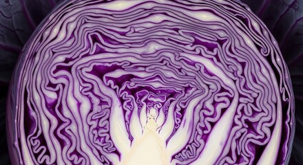 Obraz premium Vibrant Purple Cabbage Inner Layers.