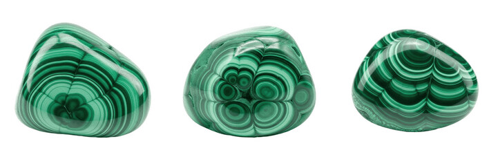 Fototapeta premium Set of Three Polished Malachite Stones Isolated on White Background, Green Banded Gemstones with Natural Unique Patterns, Decorative Mineral Crystals for Jewelry and Healing Design Projects, High Reso