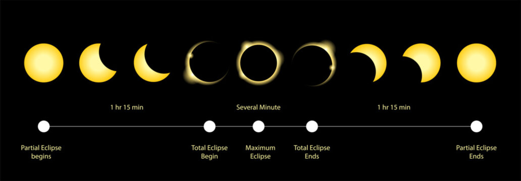 5 stages of a total solar eclipse vector illustrator, total solar eclipse phase explained, Perfect for astronomy education, science textbooks, and infographics
