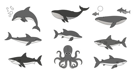 Ocean Animals Collection: Dolphins, Whales, Sharks, Octopus © mah