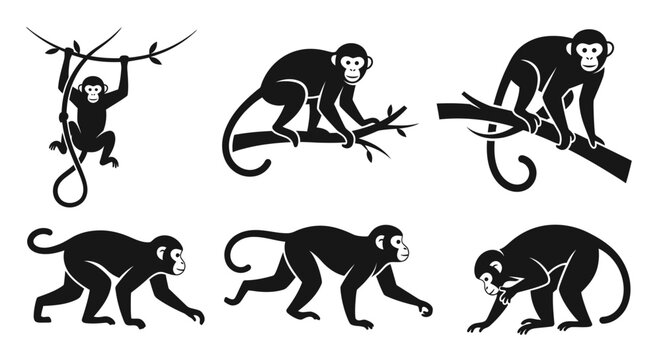 Monkeys Silhouette Collection: Jungle Animals Poses