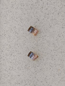 Two pieces of dried, cured fish are arranged to form the colon punctuation mark and the mathematical division symbol, displayed on a light gray speckled surface.