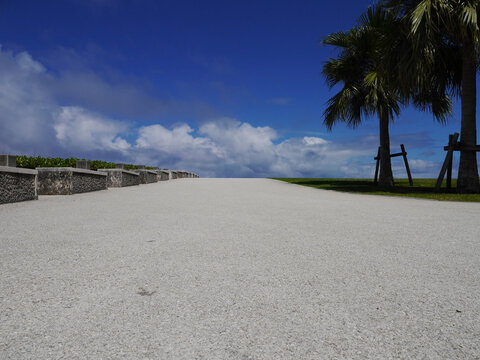 Low angle view of tropical coastal promenade with 
palm tree and blue sky, Senaga Island, Tomigusuku, Okinawa