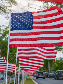 Row of American Flags Lining an Urban Street During a Patriotic National Holiday Celebration