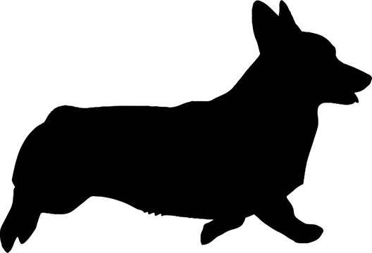 Standing corgi dog silhouette profile