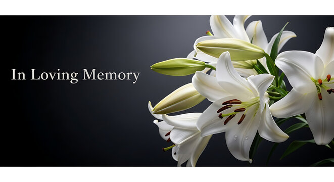 Elegant funeral memorial banner featuring pristine white lilies against a somber black backdrop, symbolizing peace, purity, and remembrance for condolence or sympathy designs.