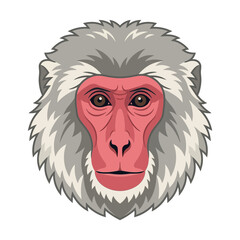 Obraz premium Japanese Macaque Monkey Face Illustration