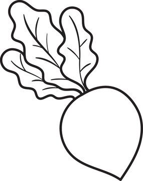 Beetroot Line Art Illustration - Printable Coloring Page Vector