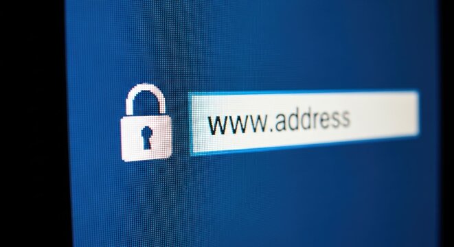 Secure Website Address Bar with Padlock Icon.