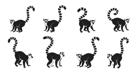 Ring-tailed Lemur Silhouettes Collection - Black and White Vector Art © roziah