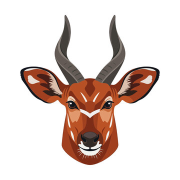 Bongo Antelope Head Portrait Illustration