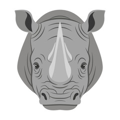 Fototapeta premium Rhino Head Portrait Illustration