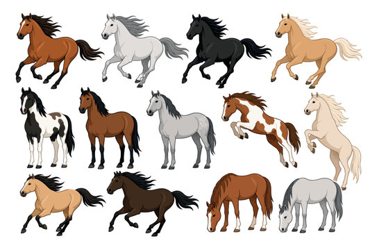 Horses in Various Colors Running.