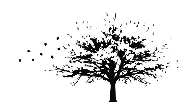 Deciduous tree silhouette with falling leaves illustrates the autumn season and the natural process of defoliation.