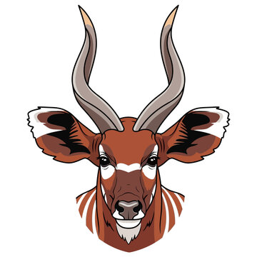 Bongo Antelope Head Illustration