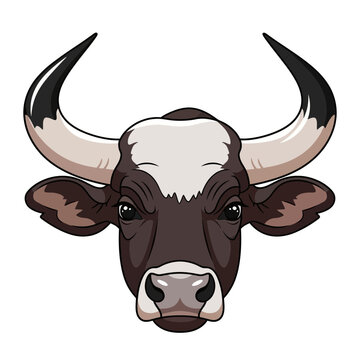 Close-up cartoon illustration of a powerful bull's head with large horns