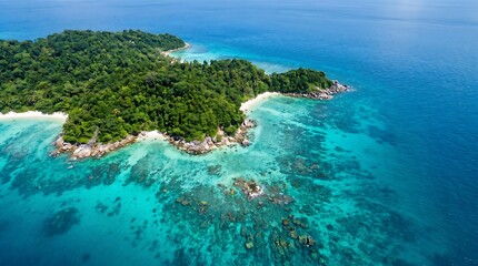 Fototapeta premium Exotic island with green forest and coral reef