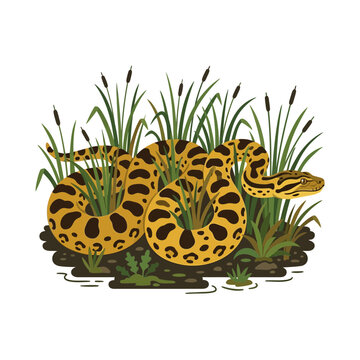 Yellow Anaconda in Cattail Reeds