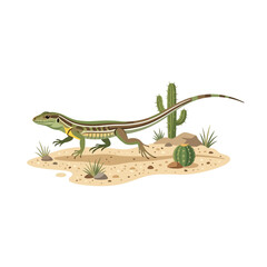 Fototapeta premium Desert Lizard and Cacti Illustration