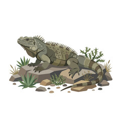 Fototapeta premium Green iguana reptile on rocky terrain with sparse vegetation, isolated on white background.