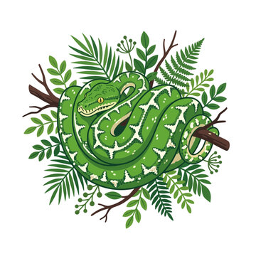 Green tree python coiled on branch with tropical leaves
