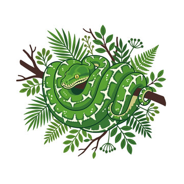 Green Tree Python coiled on branch with tropical leaves