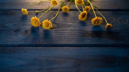 Fototapeta premium Minimalist blue wooden wall background with bright yellow spring flowers elegant floral border and natural shadow copy space