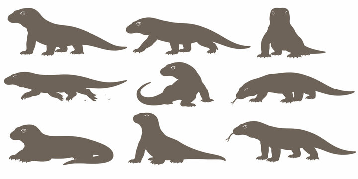 An illustration of various dinosaurs standing or sitting in different poses on land.