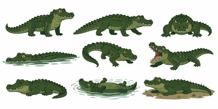 Several green crocodiles are illustrated in various aquatic poses on water surface
