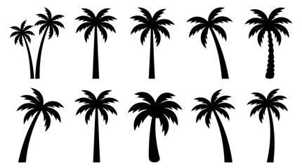 Collection of various black palm tree silhouettes on a white background © matahari