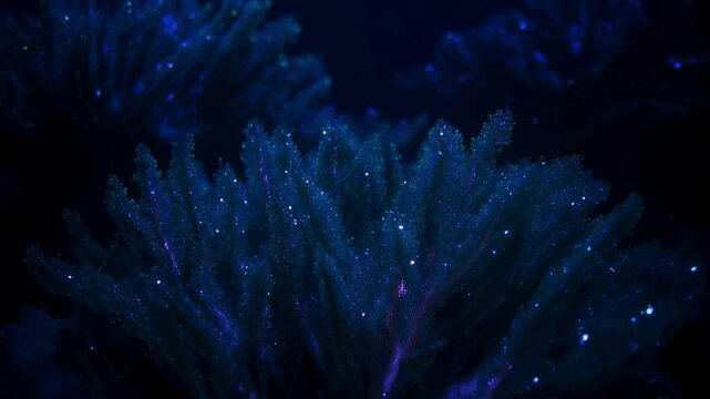 Bioluminescent Coral Reef Glowing with Floating Light Orbs in Deep Ocean Serenity