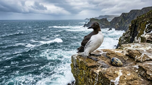 A bird perched on a rocky outcrop with a stormy sea in the background.